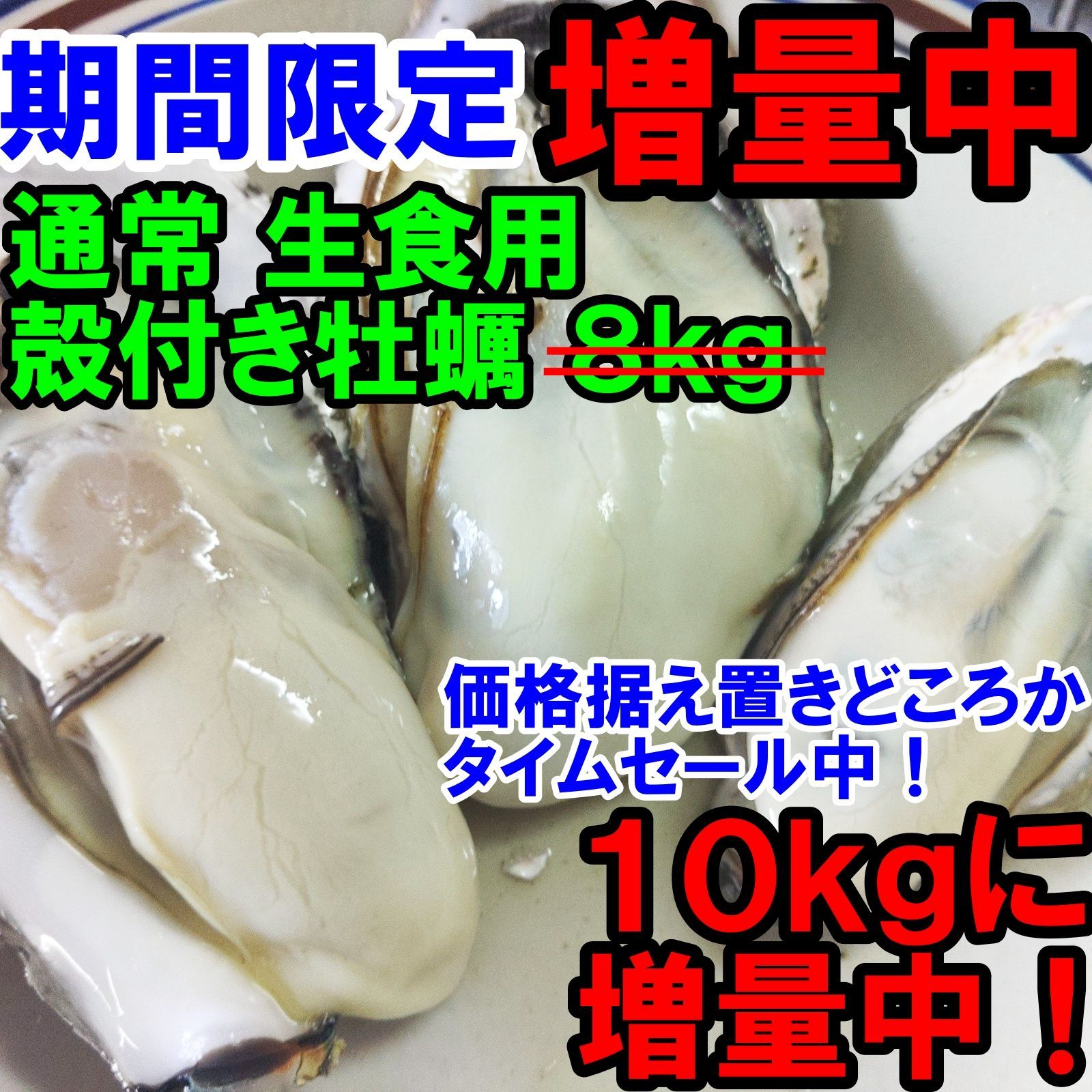 HOT新品 【期間限定 増量発送中！】「生食用 殻付き 牡蠣 １０ｋｇ