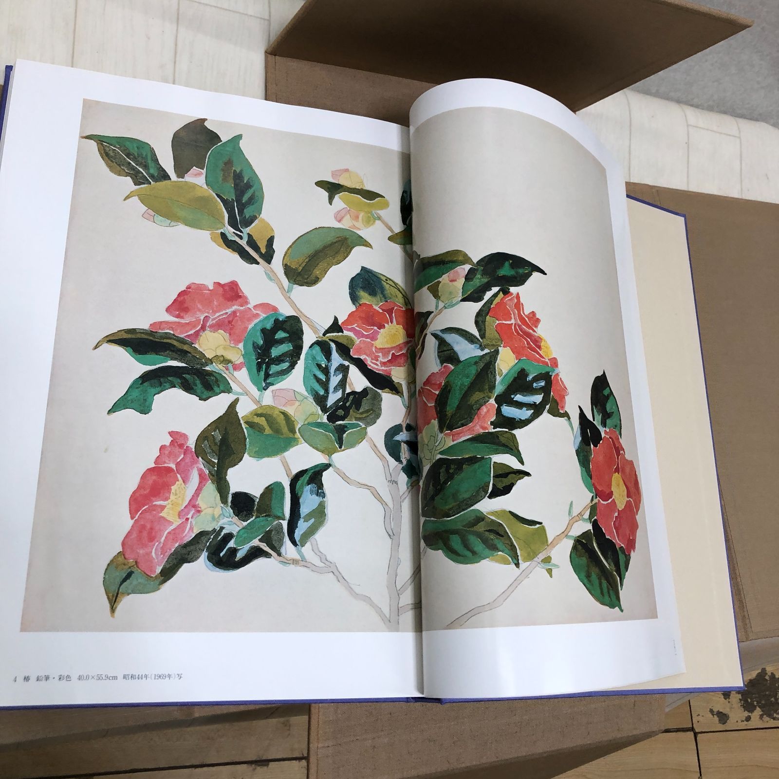 輝く高品質な 全二巻揃 作品と素描 福田平八郎 光村図書 大版 定価95,000円 絵画
