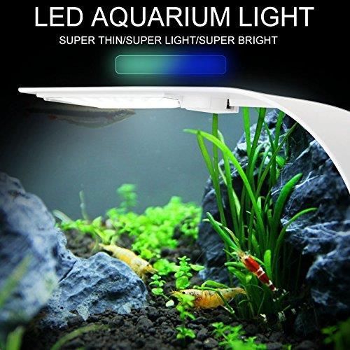 ランプ24LED(20白4青) LEDアクアリウムライト 10W 淡水 小型 ランプ24LED(20白4青) LEDアクアリウムライト 10W 淡水 小型