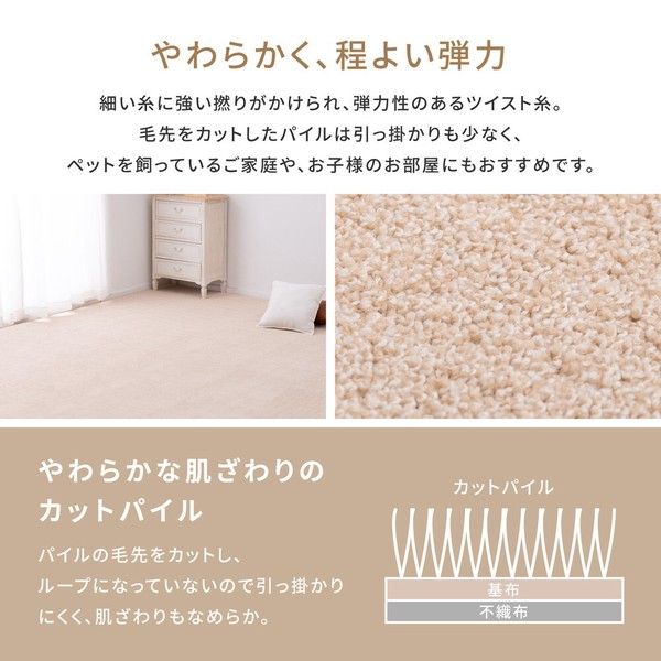 アース防ダニ・虫カビnotカーペット