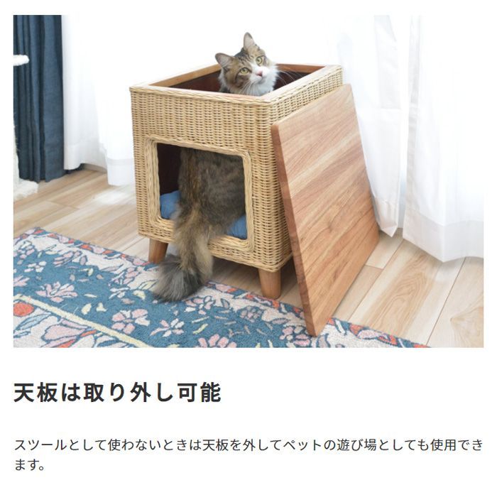 天然パイン天板 ねこ