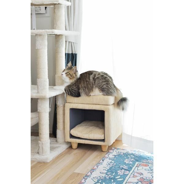 ペットハウス ペット用品 幅35×奥行35×高さ41cm グリーン 座れる仕様 木製フレーム ペットスツール プレゼント(代引不可) ペットハウス ペット用品 幅35×奥行35×高さ41cm グリーン 座れる仕様