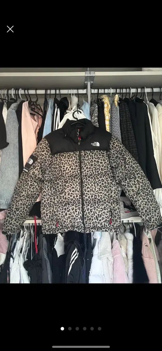 Supreme シュプリーム THE NORTH FACE ザノースフェイス レオパード Nuptse ヌプシ
