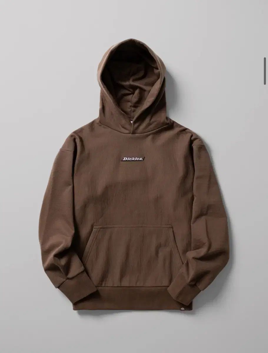 【雷市場（ポンジャン）商品韓国直送】 DICKIES(ディッキーズ) ルーズフィット バナー ロゴ フード付きTシャツ XL