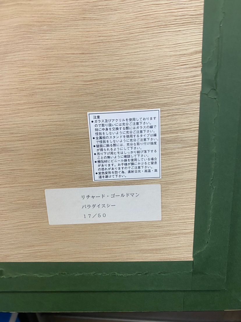 リチャード ゴールドマン パラダイスシー 額付き版画 17 50 絵画 インテリア