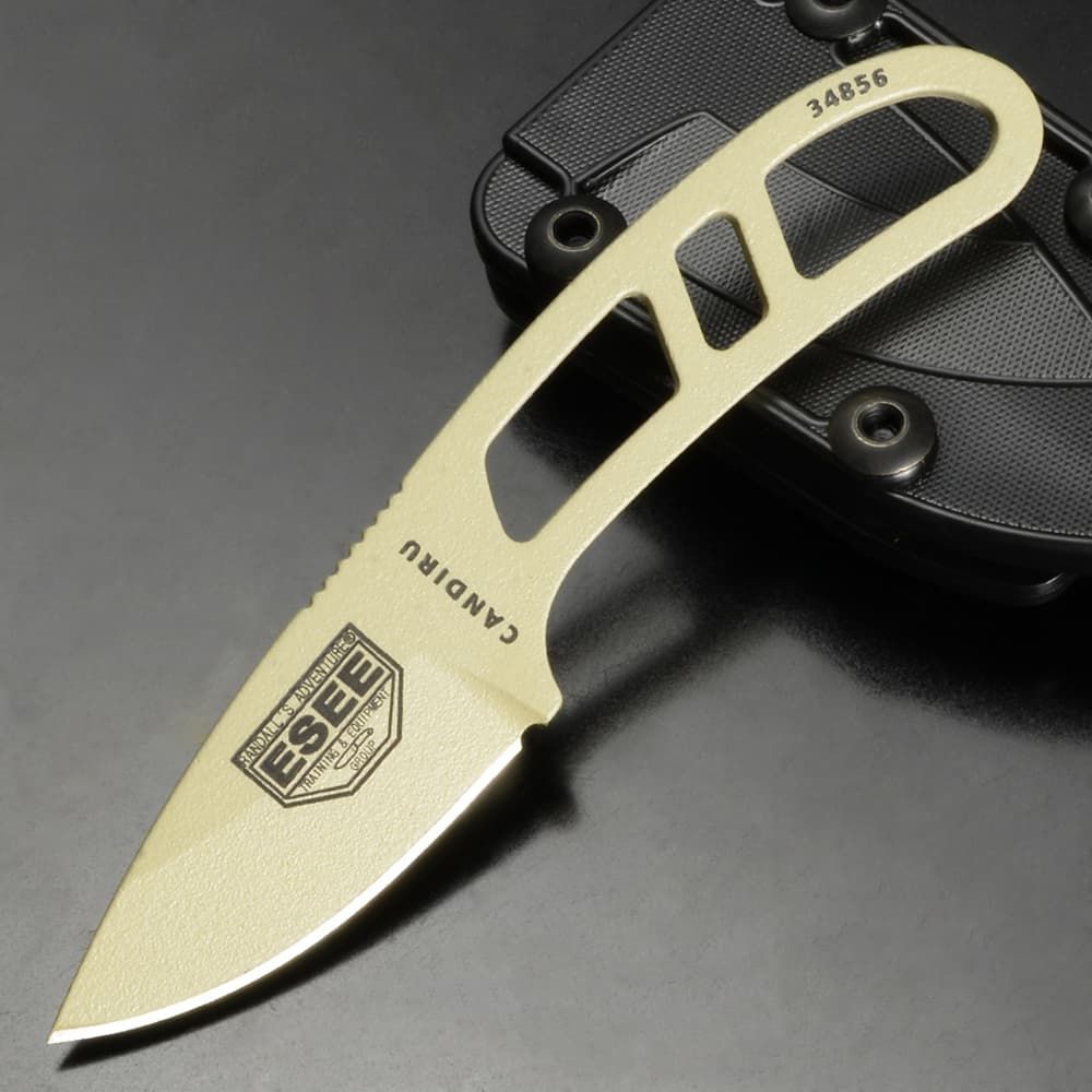 クリストフル パール テーブルサイズ デザートサイズ 18点 希少