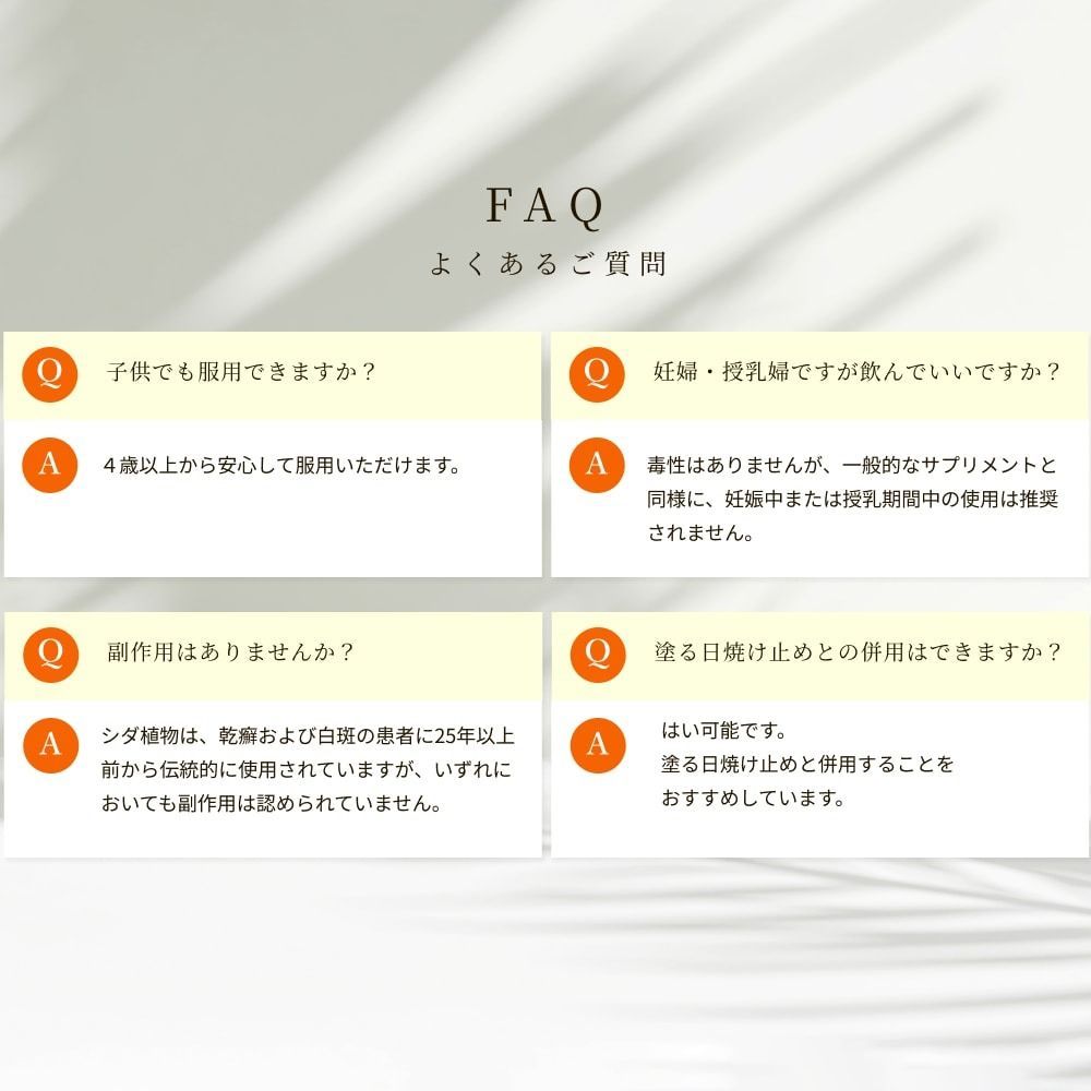 日本 賞味期限2026年3月