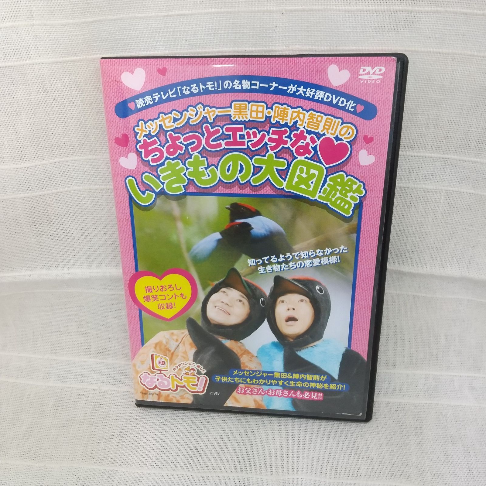 メッセンジャー黒田・陣内智則のちょっとエッチな♥いきもの大図鑑 レンタル専用 中古 DVD ケース付き - メルカリ