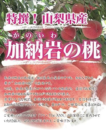 ６月末より発送 世界農業遺産認定 桃 アンの桃 山梨県 加納岩の桃 かのいわのもも 特秀 大玉 | ５キロ箱 12~16個 入り