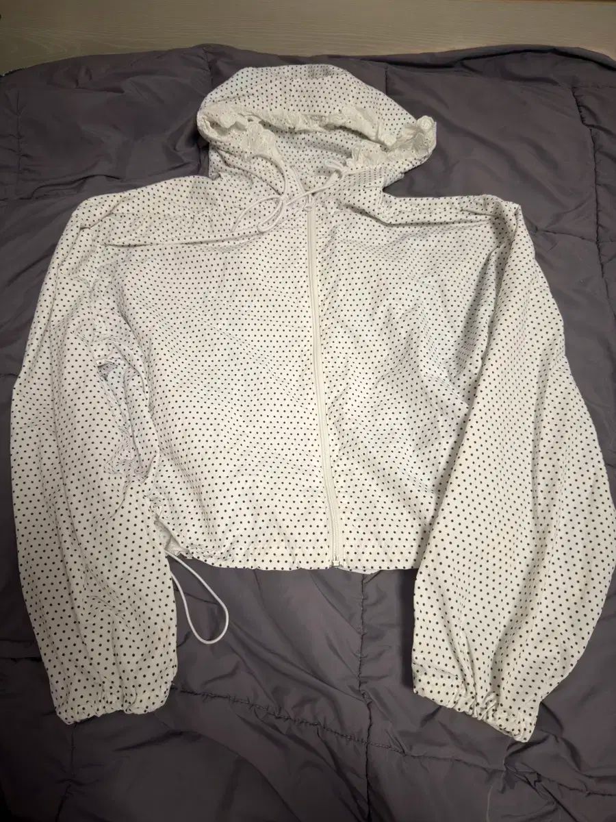 楽しみから楽しく レイストリーム