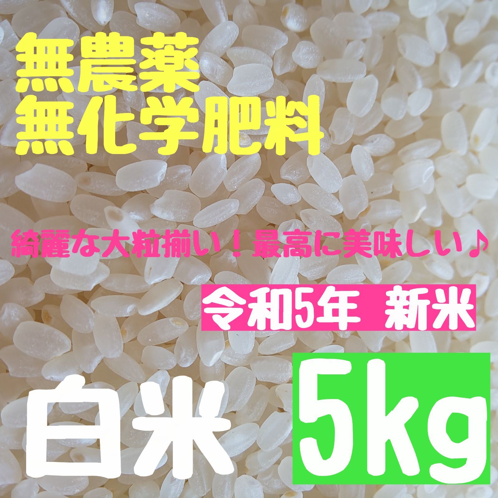 さくらの白米 【選別済みの大粒】農薬不使用 無化学肥料 除草剤不使用