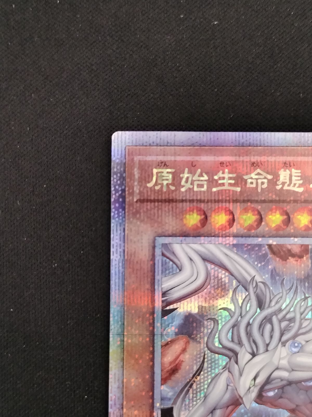 中古TCG】遊戯王OCG 原始生命態ニビル (イラスト違い) (25thレア