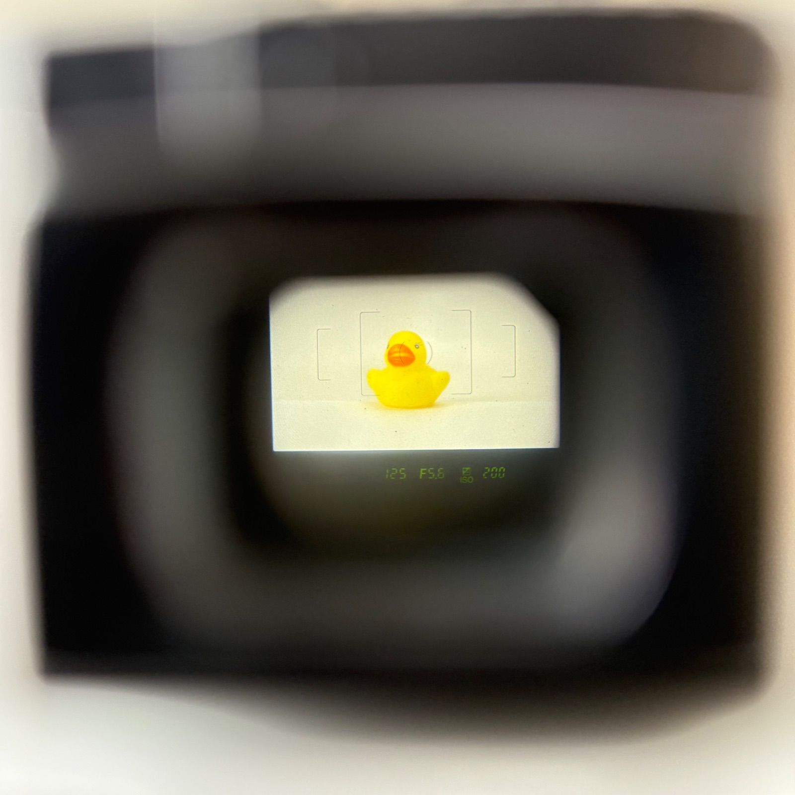 PENTAX K-x 18-55mm 標準レンズセット 白 070 - メルカリ