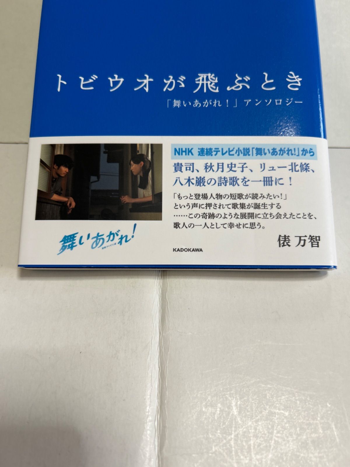 トビウオが飛ぶとき 「舞いあがれ!」アンソロジー