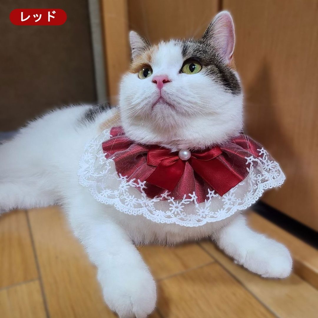 最後の1点✨）しずく✨ゴージャス✨アクセサリー 猫首輪（ブルー