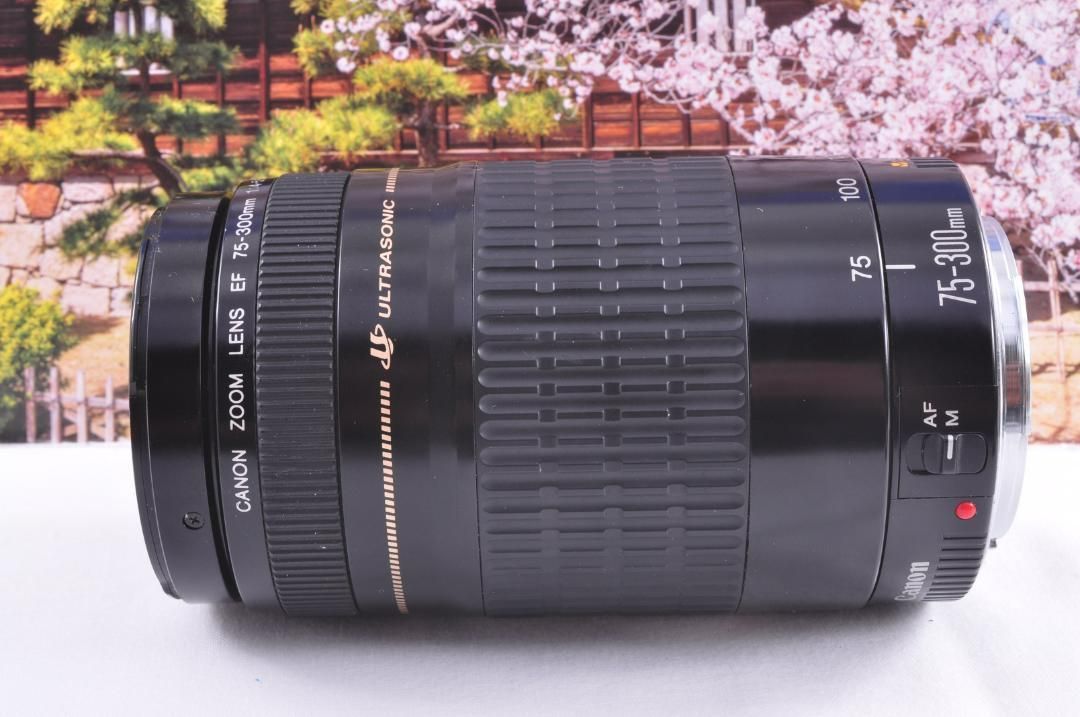 各種イベントに大活躍！キヤノン 望遠レンズ Canon EF75-300mm Zoom LENS 単焦点レンズ フィルムカメラ 交換レンズ 望遠レンズ  一眼カメラ レンズ レンズフード レンズフィルター 美品 送料無料 激安 - メルカリ