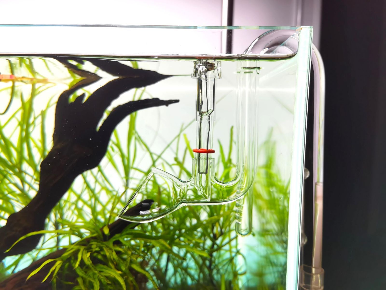 かずぴっぴ　ステンレスco2水草育成タンク  ガラスパイプ付き 71400_2.jpg