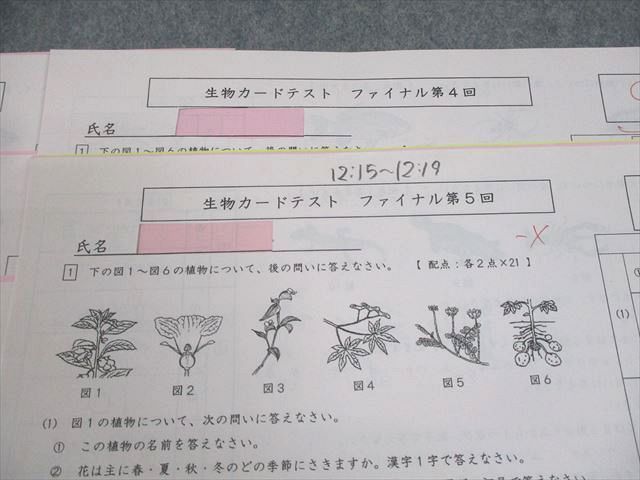 浜学園 小6 理科 生物カードテスト ファイナル 第1〜5回 2019 004s2D 浜学園 小6 理科 生物カードテスト ファイナル 第1～5回 2019 004s2D 理科