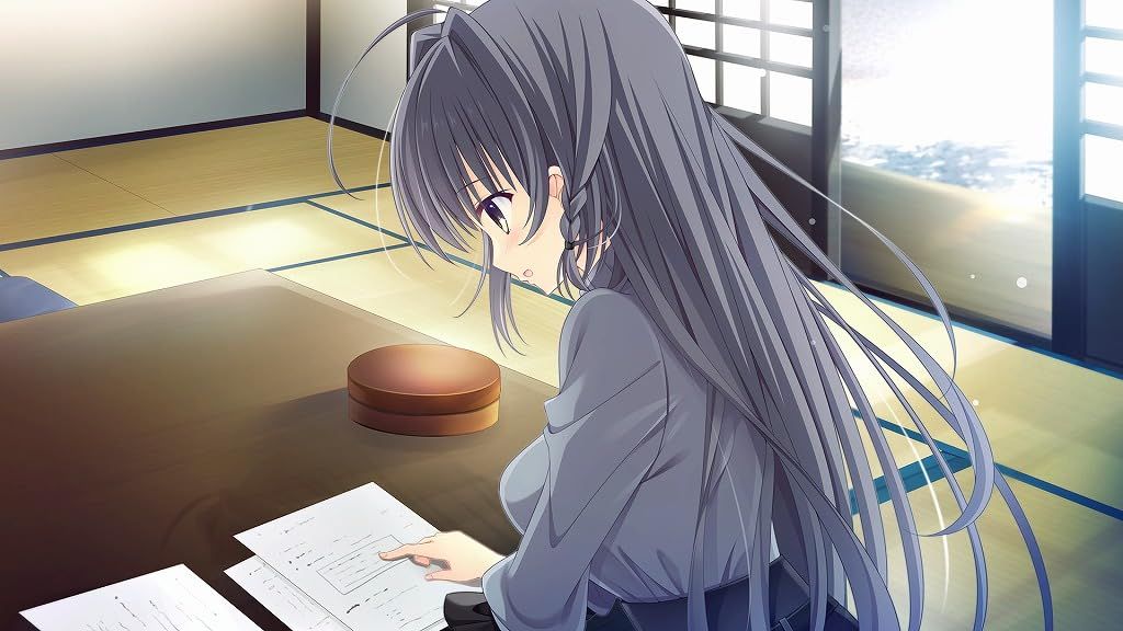 D.C.5 Future Link ～ダ・カーポ5～ フューチャーリンク豪華限定版