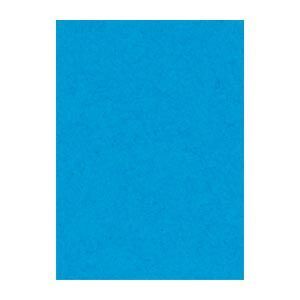 リンテック ニュー Ｒ 4 NCR 216 うすあお