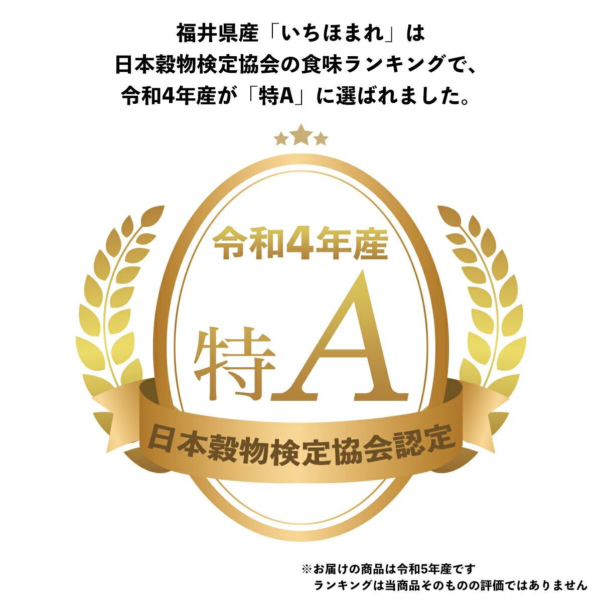 令和5年産 新米 福井県産 いちほまれ 10kg（5kg×2袋）