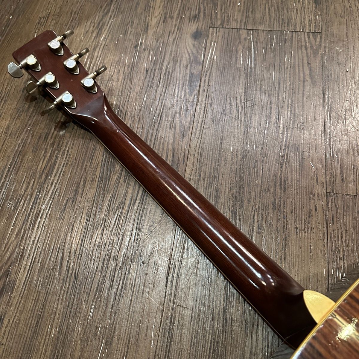 Tokai Cat's Eyes CE-300 Acoustic Guitar アコースティック
