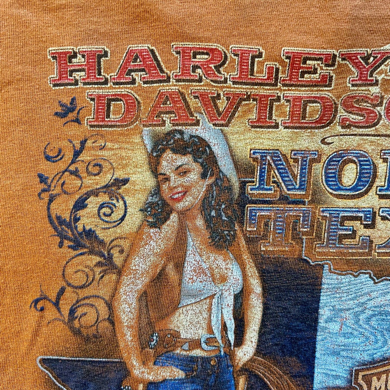 HARLEY-DAVIDSON ロンT バックプリント 袖プリント オレンジ ハーレー