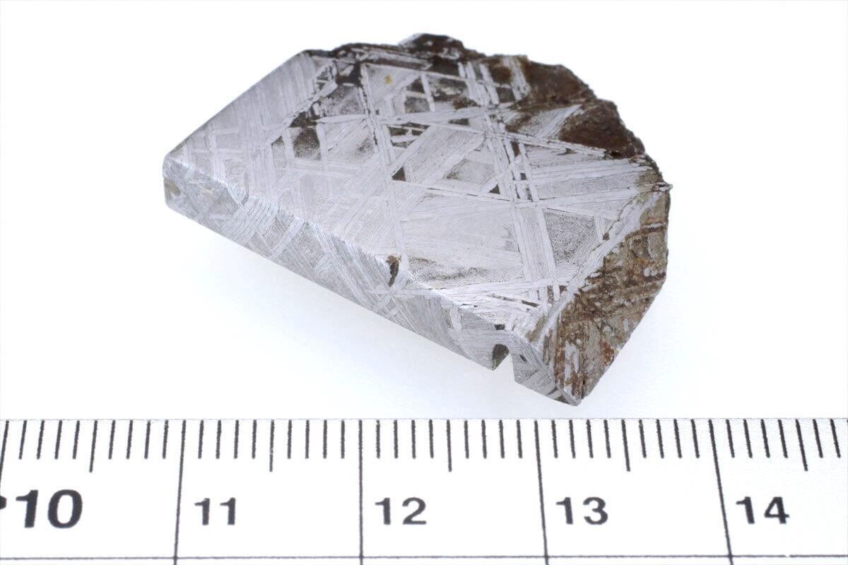 ムオニナルスタ ムオニオナルスタ 19g スライス カット 標本 隕石 