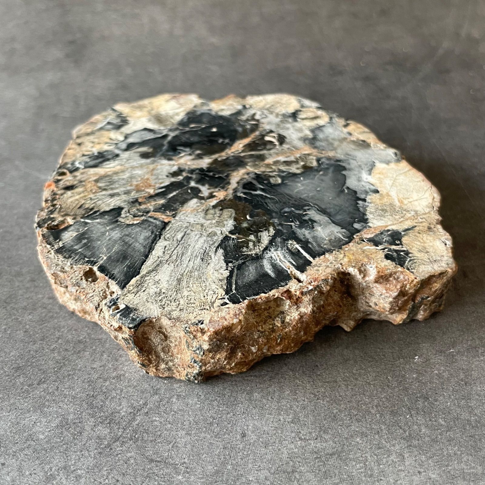 ペトリファイド ウッド スラブ 珪化木 マダガスカル産 マダガスカル産 ペトリファイドウッド ( 珪化木 ) スライス