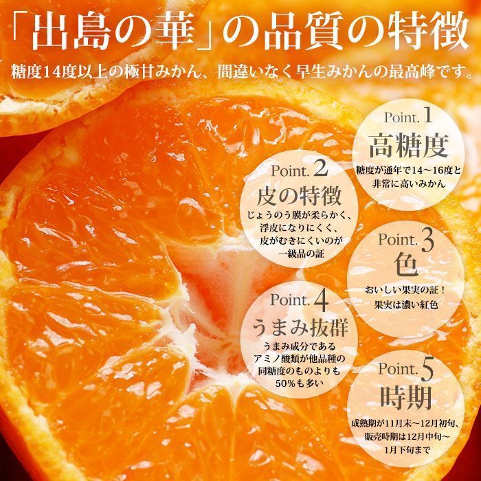 ◉最高級みかん◉🍊平均糖度14度以上「出島の華」ぜひ、商品説明 ◉最高級みかん◉🍊平均糖度14度以上「出島の華」ぜひ、商品説明