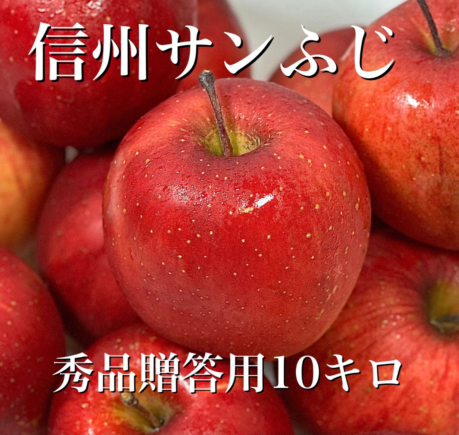 信州秀品 産直サンふじ りんご 10キロ