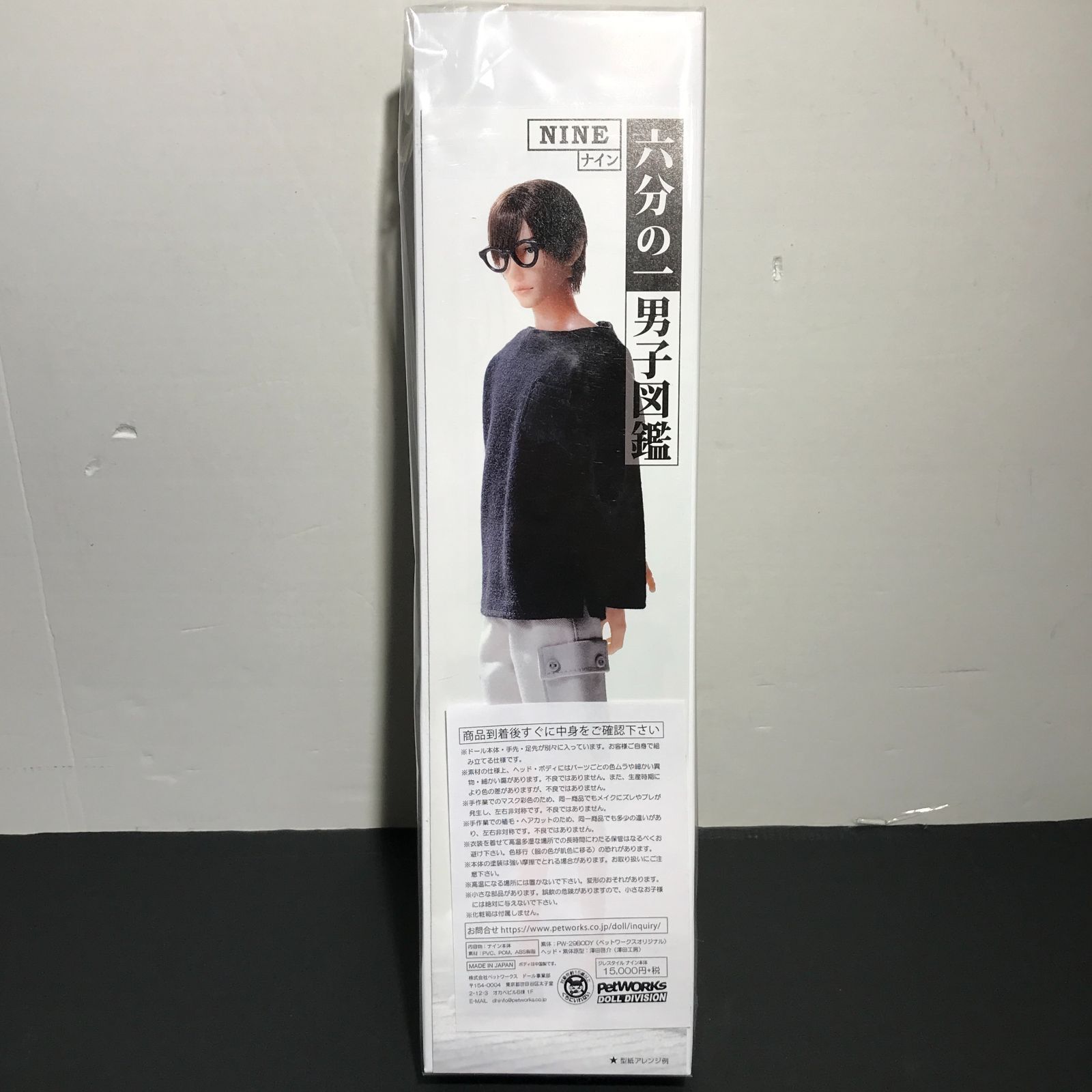 城東29-073 六分の一男子図鑑