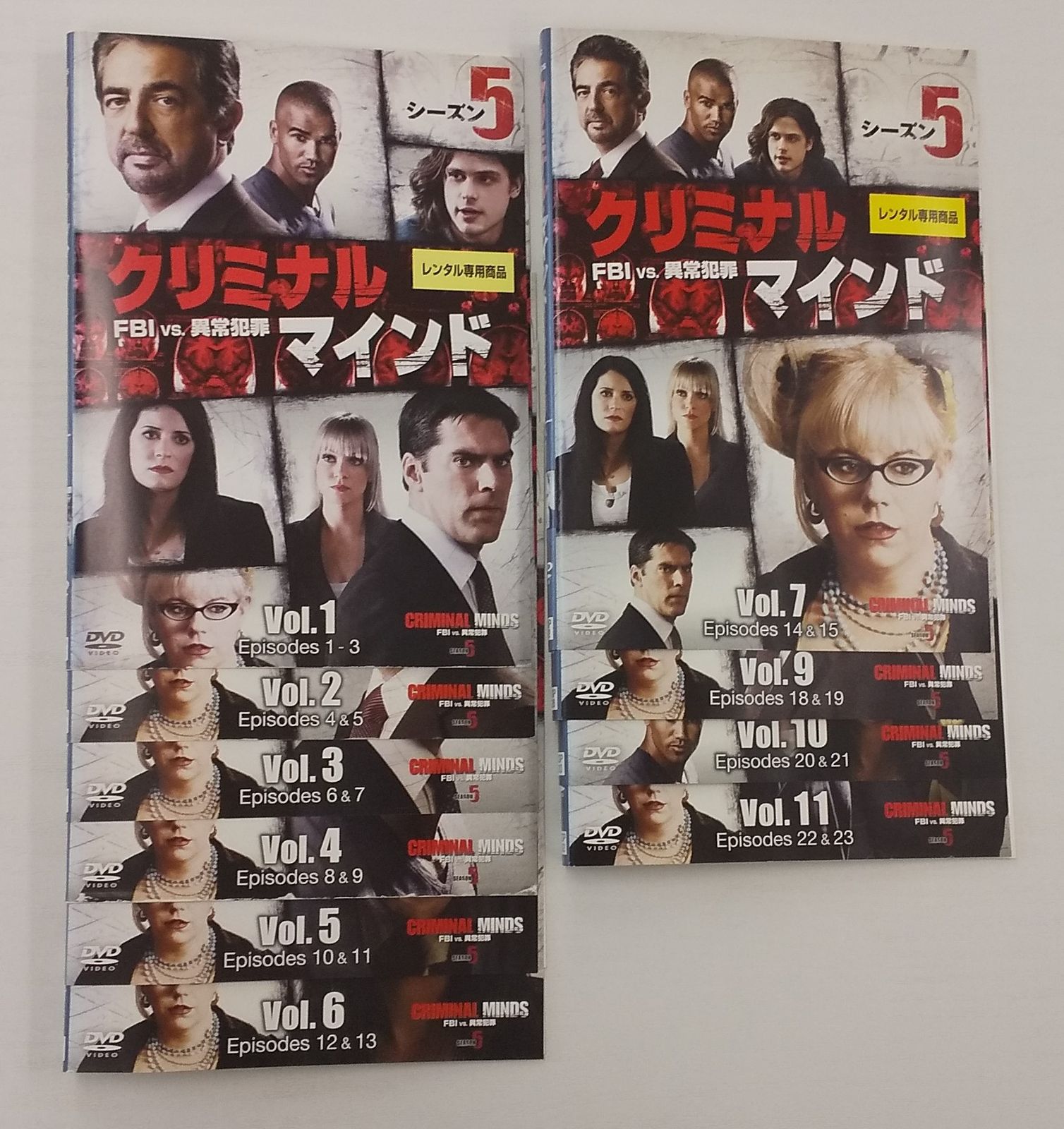 KG 0375 【 訳あり 】クリミナル・マインド FBI VS 異常犯罪