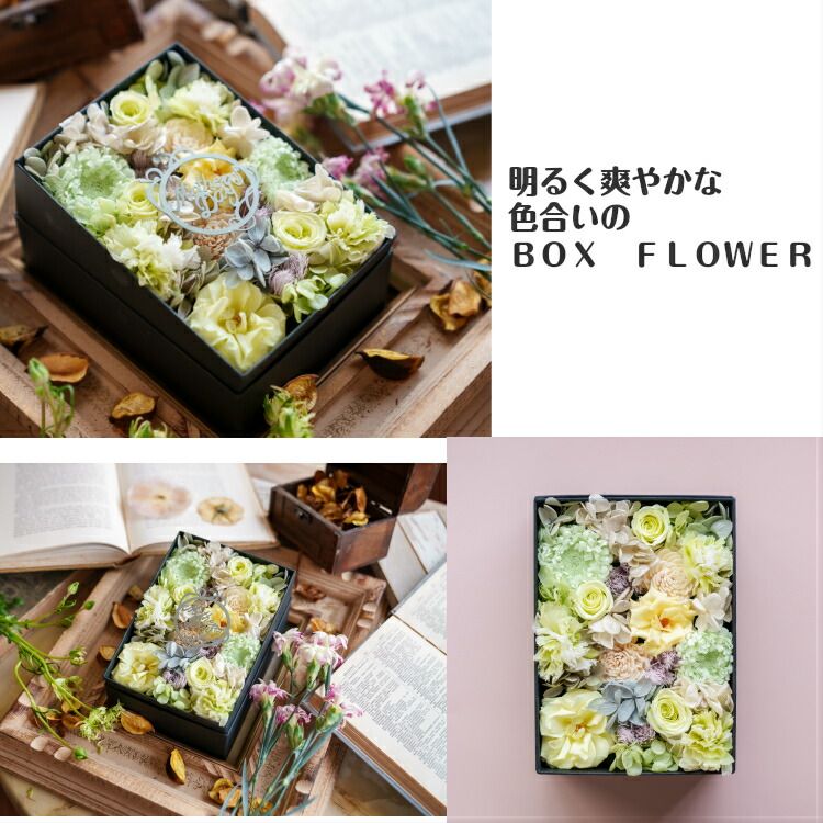 稼働品リュージュシリンダー式オルゴール144弁3曲 東Y7-0217☆1Fチコサ