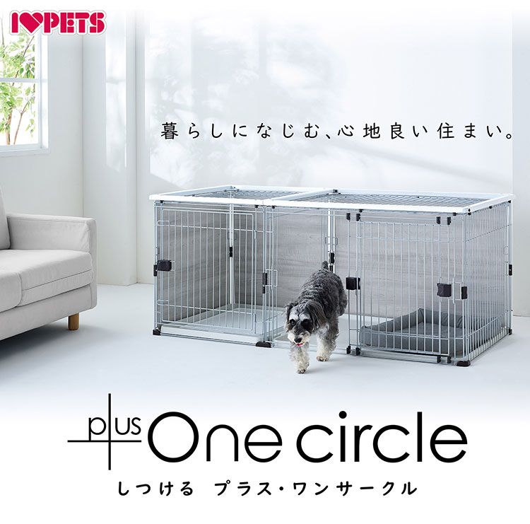 ボンビアルコン ケージ