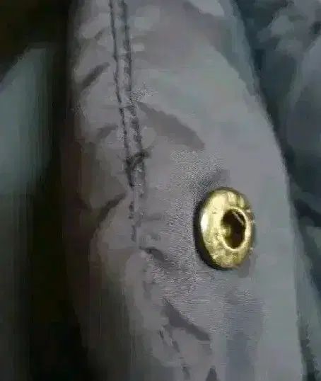 Little ダックスキッズ