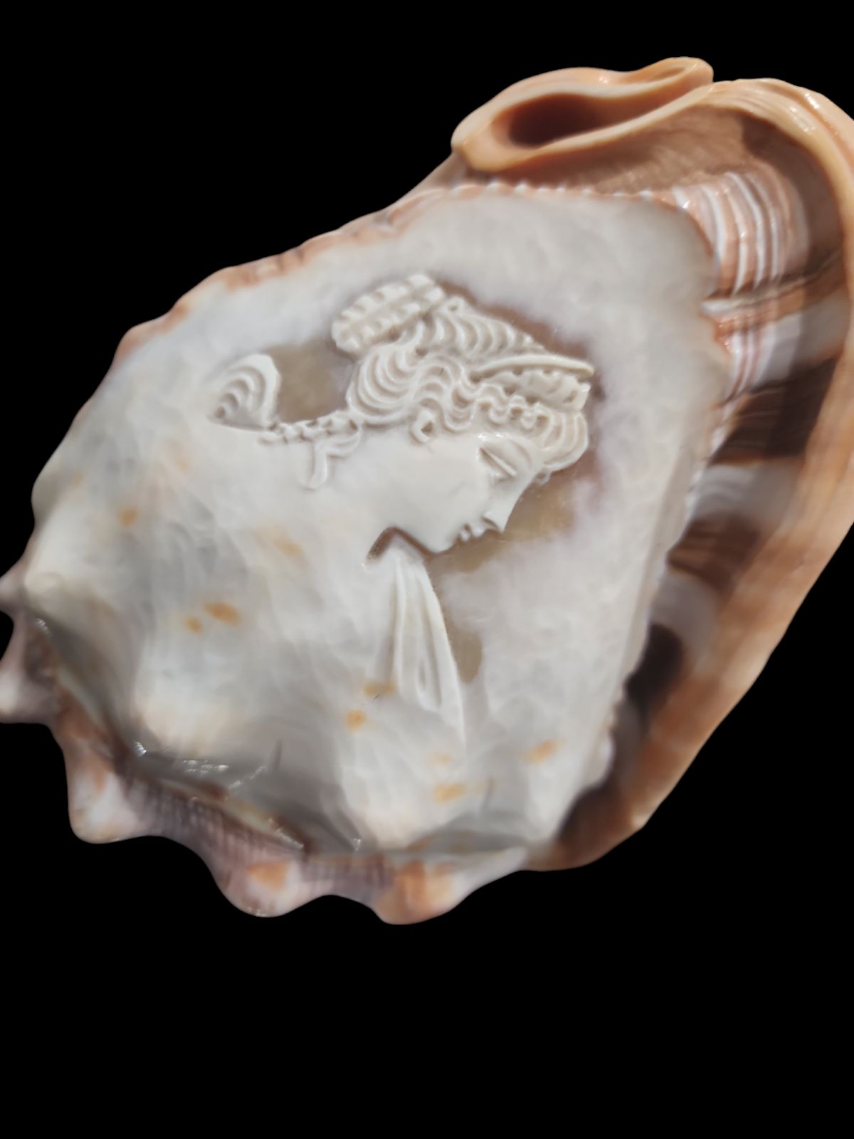 イタリア製 シェル カメオ ランプ スタンド アンティーク 当時物 照明