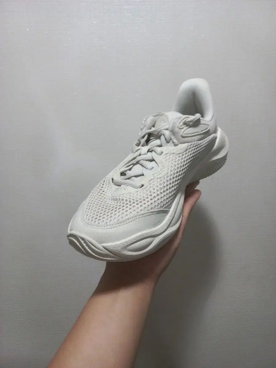 260 UNDER ARMOUR アンダーアーマー カリー スプラッシュ 24 バスケシューズ 農民化 バドミントン