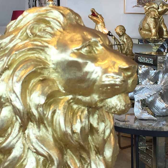 ライオン Lion