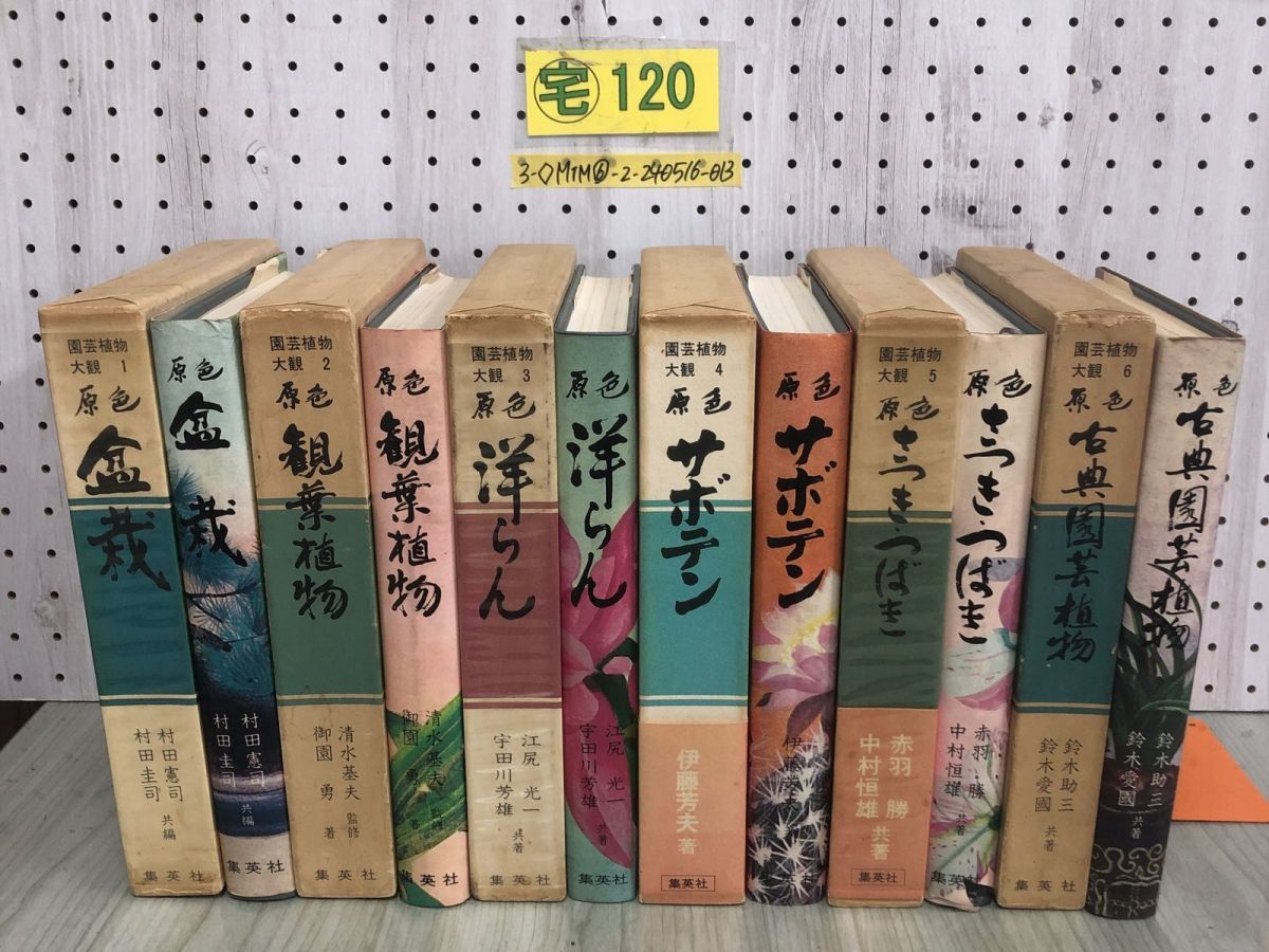 3-全6巻揃い セット 園芸植物大観 原色 1973年 昭和48年 集英社 盆栽 観葉植物 洋らん サボテン さつき つばき 古典園芸植物 シミ汚れ有