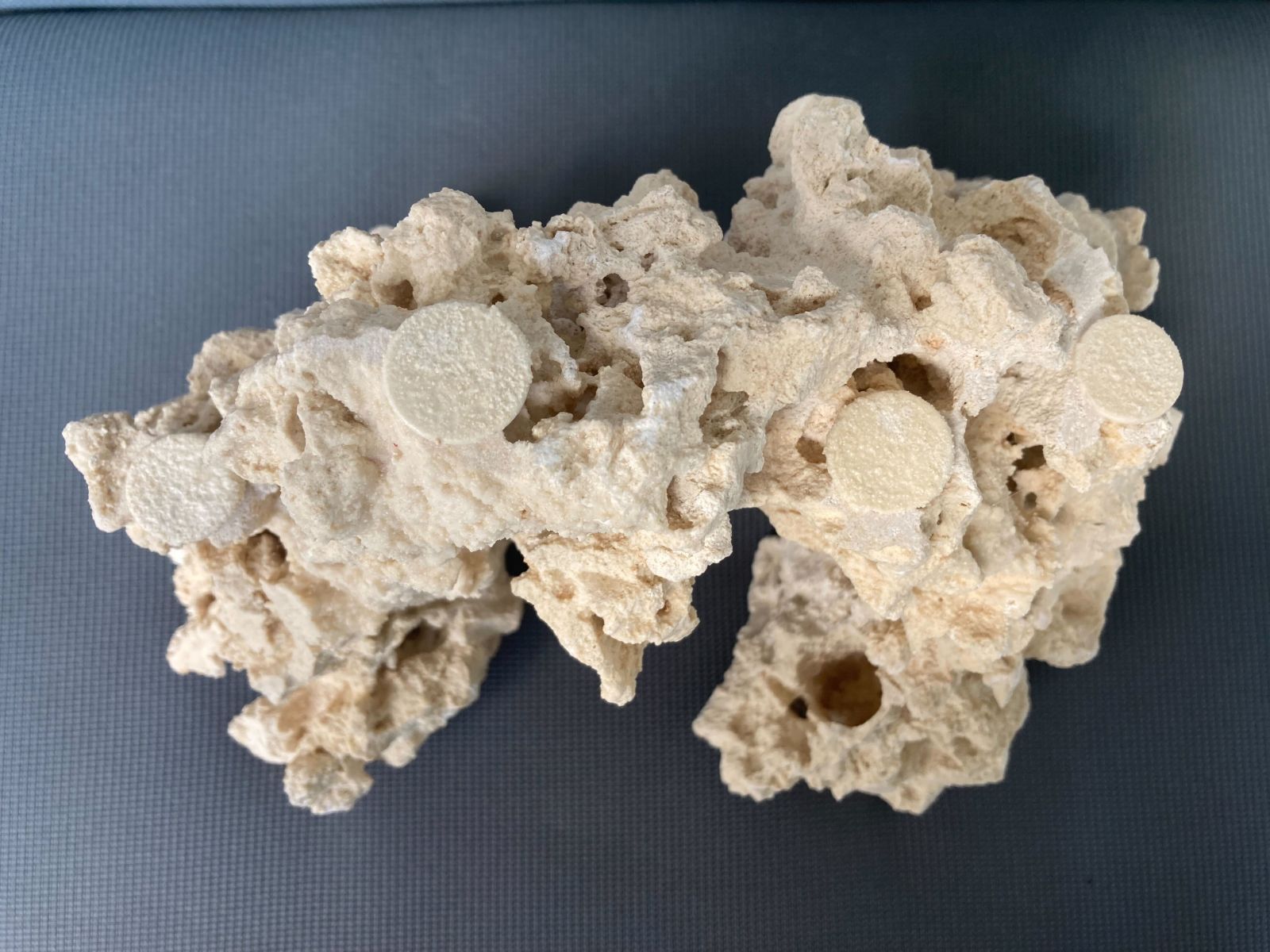 ５４１７８７ 海水水槽用