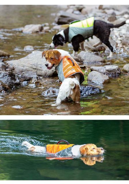 中型犬 大型犬