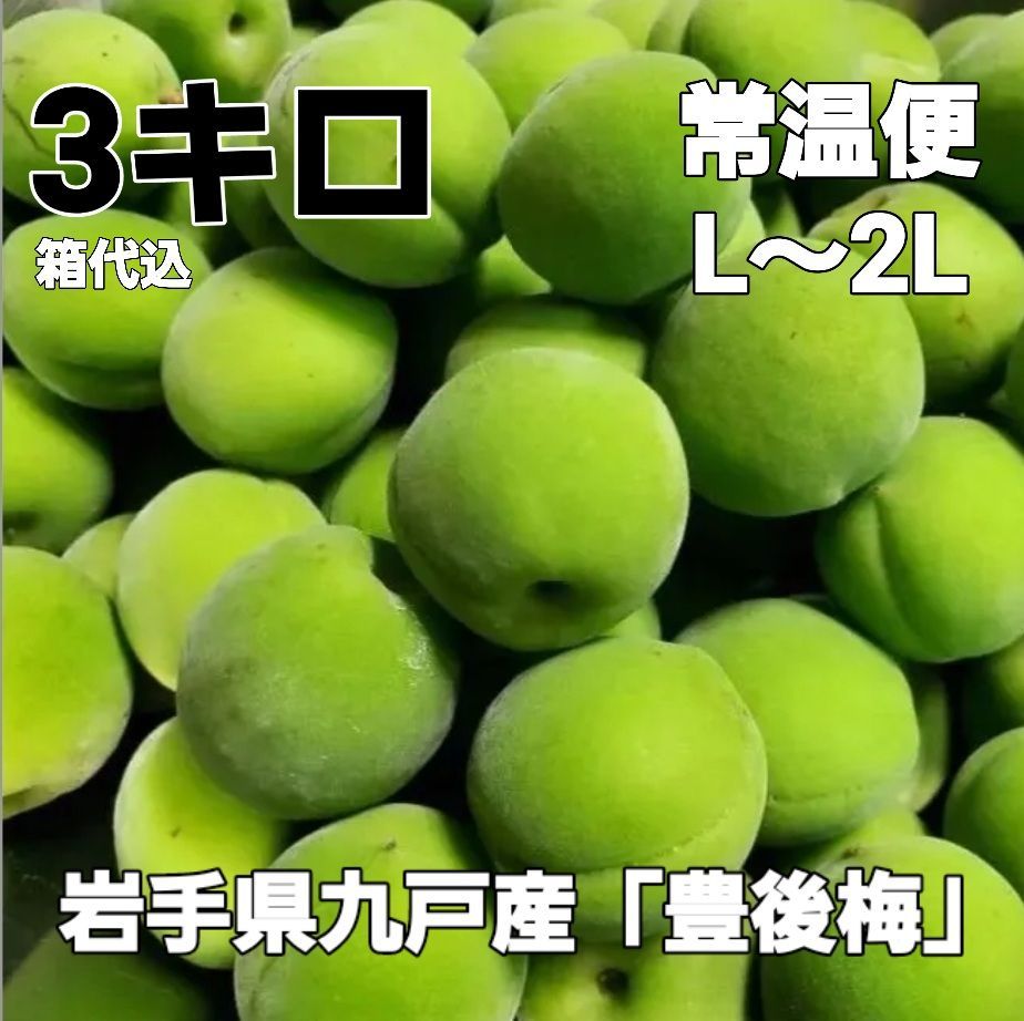 豊後梅 完熟梅 7キロ箱込み 通販