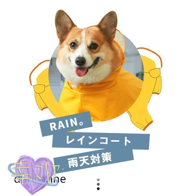 レインコート 雨天対策