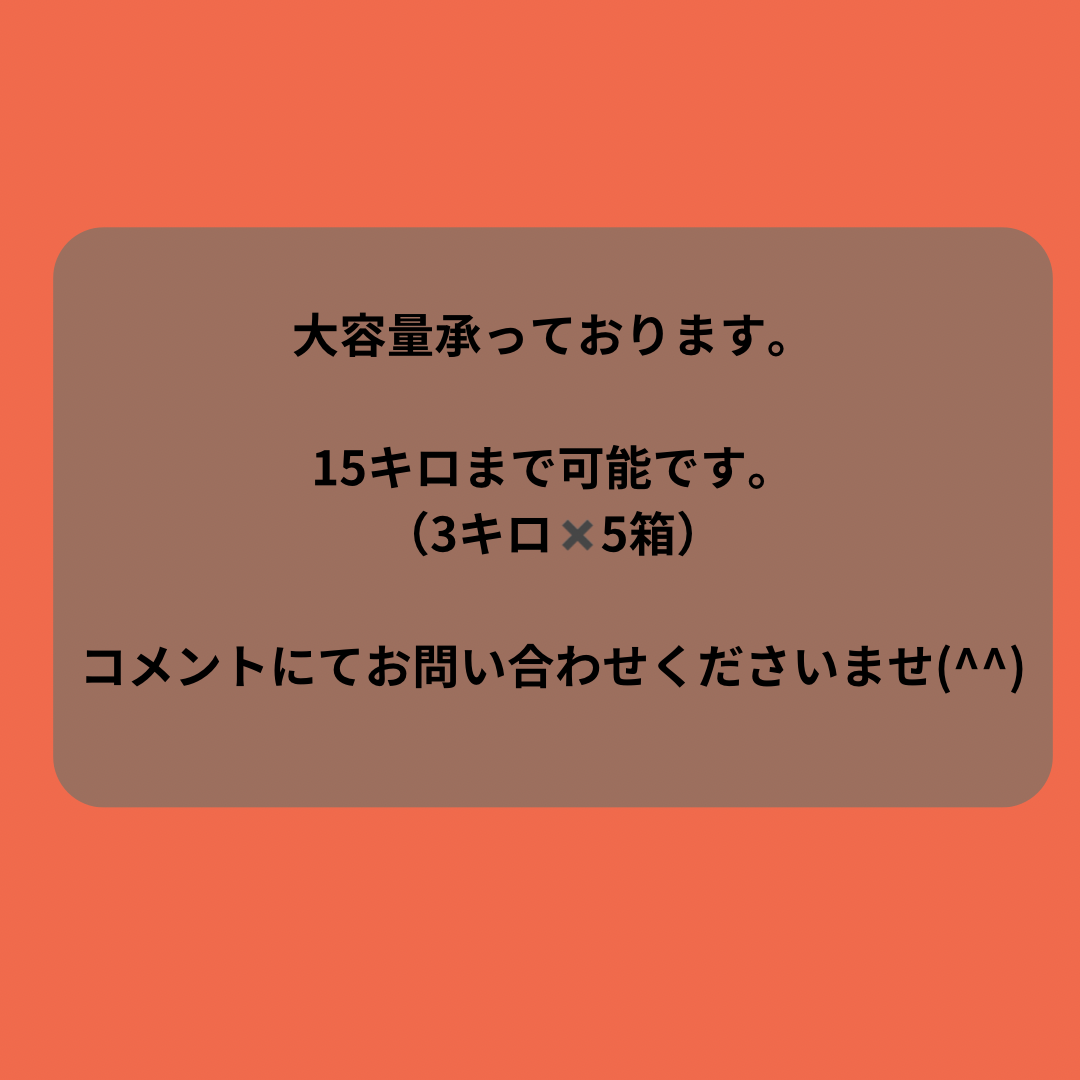 北海道産　ミニトマト　アイコ　秀Lか2L 3㎏