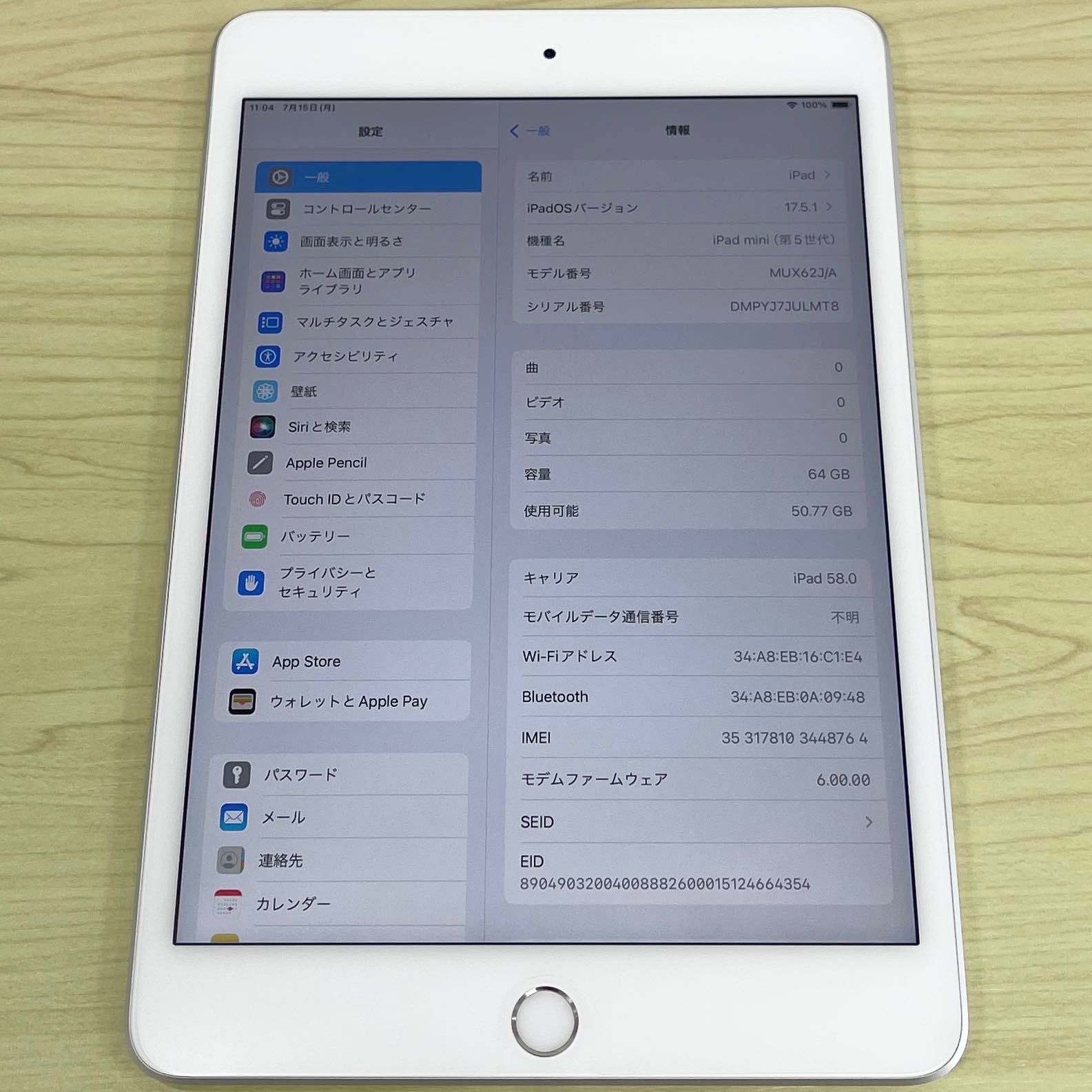 【極美品】iPad mini 第5世代 64GB WiFi+Cellular シルバー 21068