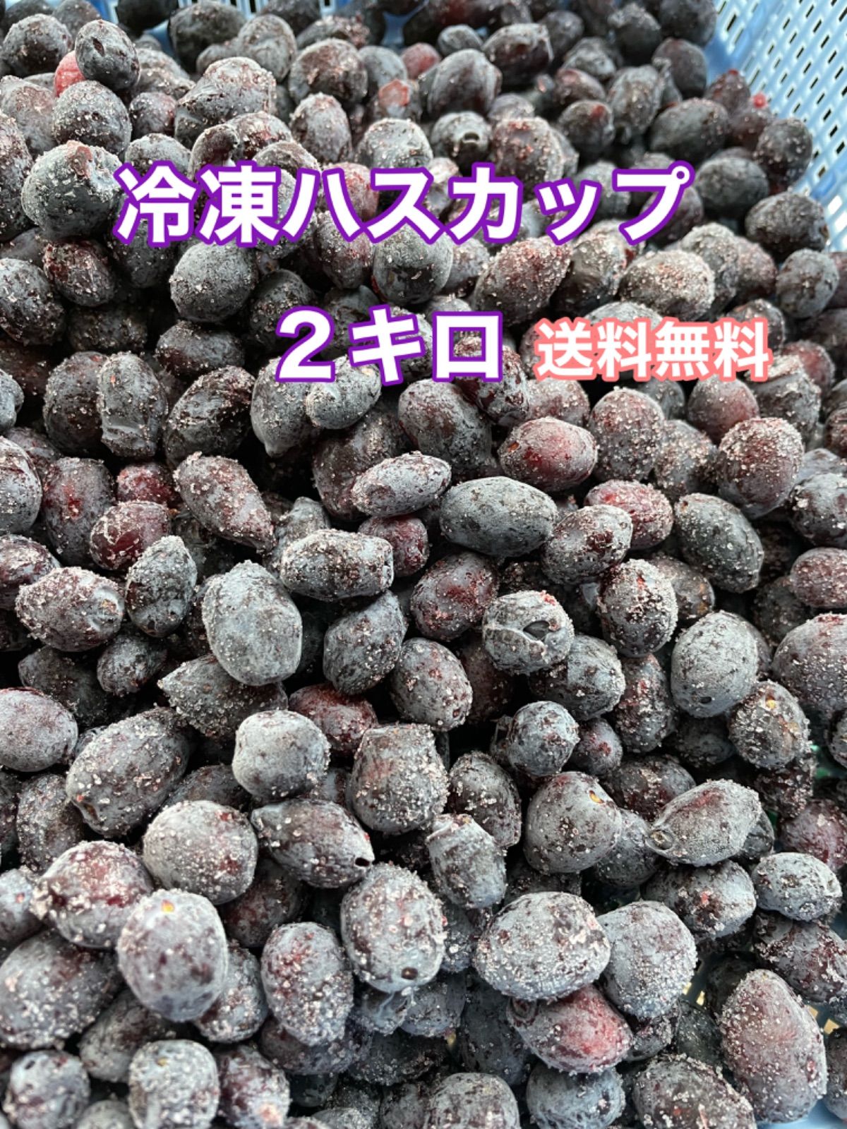 北海道産ハスカップ(冷凍果実) 2kg