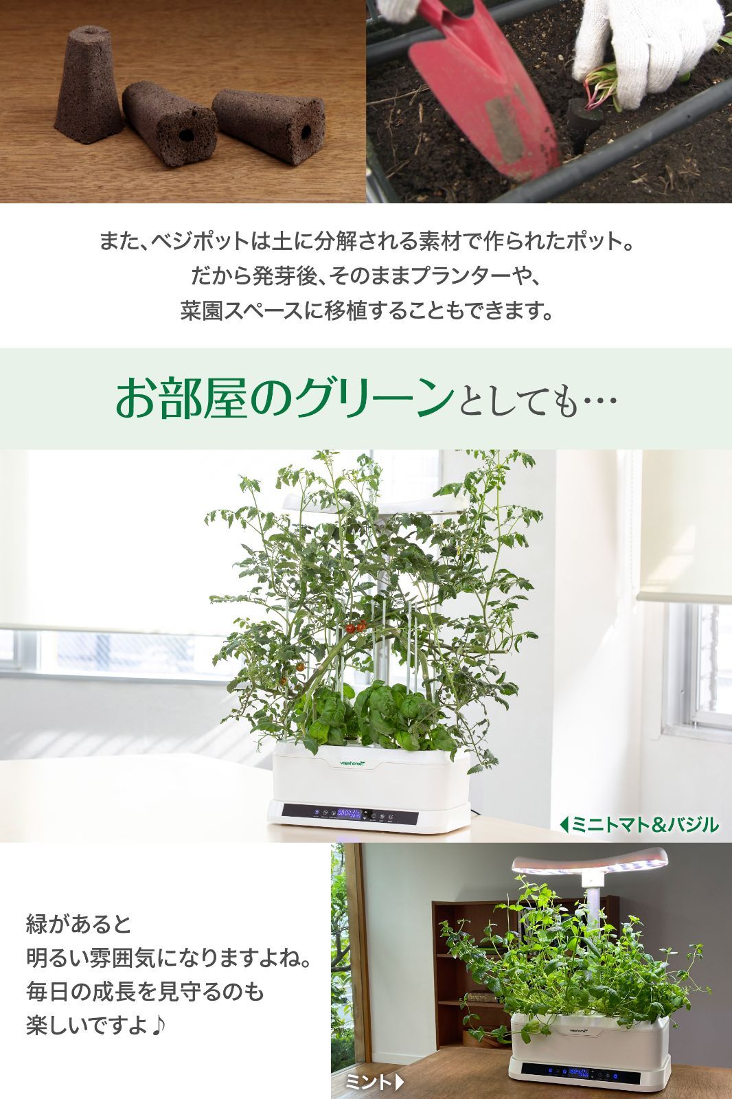 基本セット