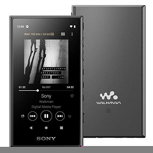 ソニー ウォークマン 32GB Aシリーズ NW-A106 : ハイレゾ対応
