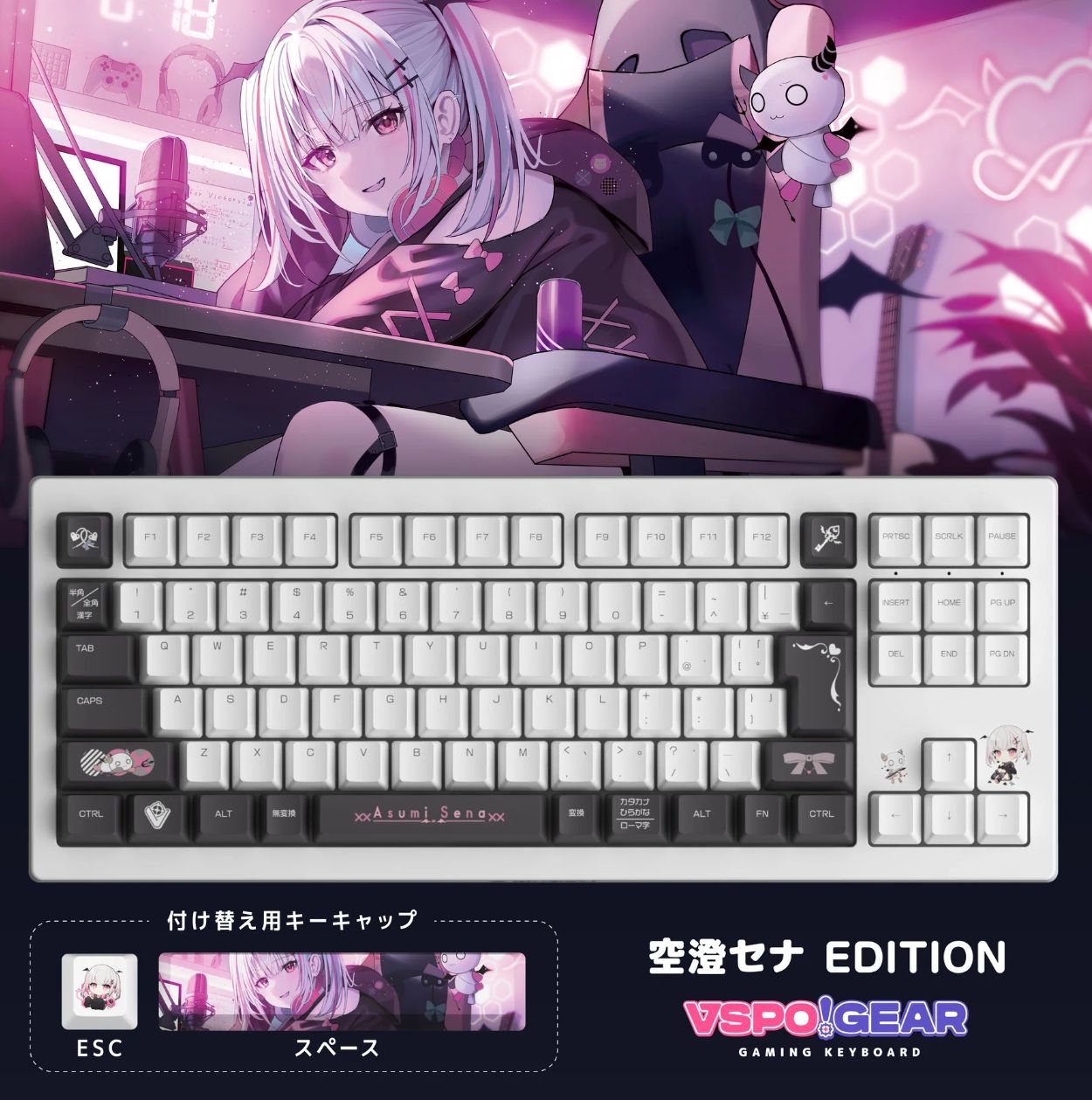 ぶいすぽっ! VSPO! GEAR ゲーミングキーボード 第2弾 空澄セナ キャラ その他 190A8868